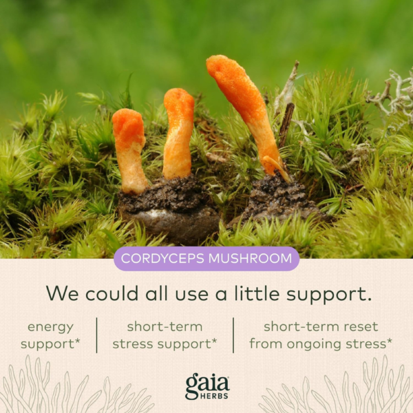 Gaia Herbs