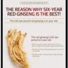 Korea ginseng