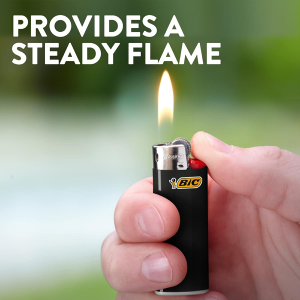 BIC