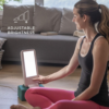 Verilux, Inc